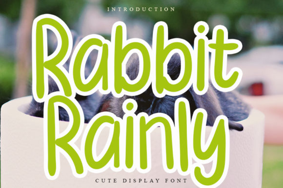 Rabbit Rainly: A Font Review for Designers & Brands